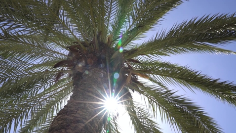 Thumbnail for Israel Study Abroad - Highlight Video