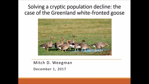 Thumbnail for entry NRES 500 Fall 2017 - Weegman - Solving a cryptic population decline: the case of the Greenland white-fronted goose