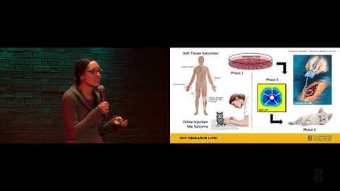 Thumbnail for 2017 Research Live! Finalist: Elizabeth Maxwell - Chemotherapy Beads for Cats