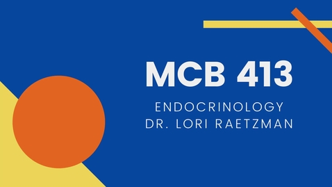 Thumbnail for MCB 413: Endocrinology