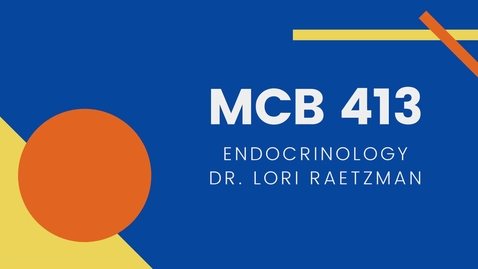 Thumbnail for entry MCB 413: Endocrinology