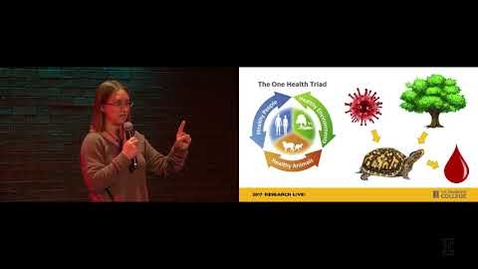 Thumbnail for 2017 Research Live! 1st Place: Laura Adamovicz - Turtles in Trouble