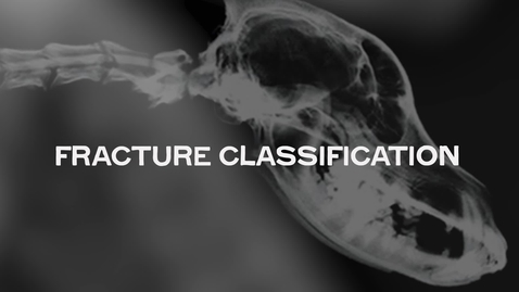 Thumbnail for Fracture Classification