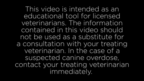Thumbnail for Training Video on Reversing Opioid Overdose in Dogs - Illinois Vet Med