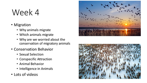 Thumbnail for NRES 101 - Week 4 - Conservation Behavior