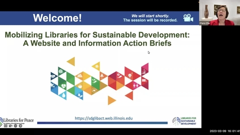 Thumbnail for entry Mobilizing Libraries for Sustainable Development: A Website and Information Action Briefs