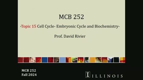 Thumbnail for MCB 252 Lecture Replacement for Lecture on 12.5.25