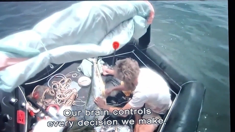 Thumbnail for Specific Hunger Theory (AD).mp4