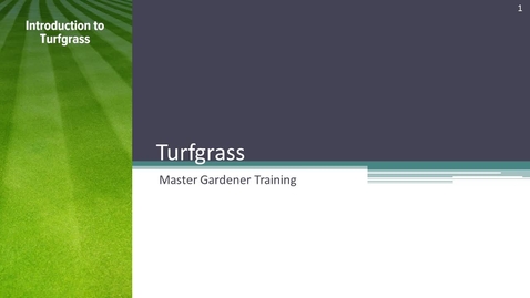 Thumbnail for Lawns 1