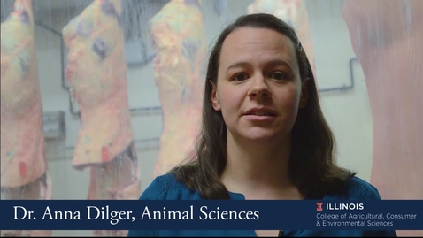 Thumbnail for Anna Dilger - Department of Animal Sciences,University of Illinois at Urbana Champaign