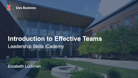 Thumbnail for Introduction to Effective Teams