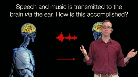 Thumbnail for entry SHS 240 | Intro to Sound &amp; Hearing Science | Promo  Video