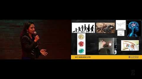 Thumbnail for 2017 Research Live! 3rd Place: Payel Kundu - Licorice Helps Brain Aging