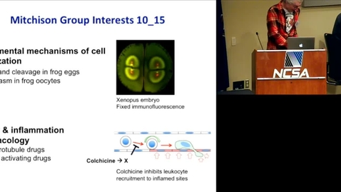 Thumbnail for entry Cancer &amp; Inflammation Pharmacology