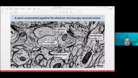 Thumbnail for Fall 2020 Virtual Seminar - Mei Zhen, University of Toronto_ed