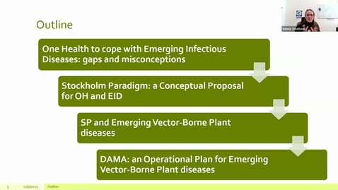 Thumbnail for Emerging Vector-Borne Plant Diseases DAMA: An opportunity for the One Health Initiative.