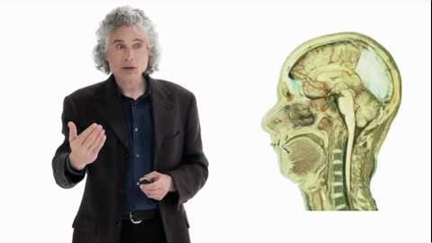 Thumbnail for entry Steven Pinker: Linguistics as a Window to Understanding the Brain