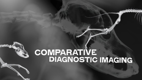Thumbnail for Modality Comparison for Neurology Cases