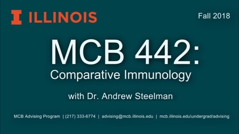 Thumbnail for entry MCB 442: Comparative Immunobiology, Conversation with Dr. Andrew Steelman
