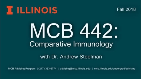 Thumbnail for MCB 442: Comparative Immunobiology, Conversation with Dr. Andrew Steelman