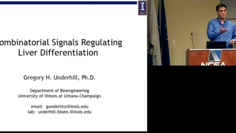 Thumbnail for entry Combinatorial signals regulating liver differentiation