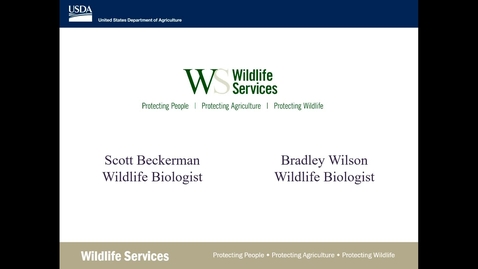 Thumbnail for A Collaborative, Integrated Approach to Feral Swine Damage Management in Illinois - Scott Beckerman and Bradley Wilson, USDA APHIS Wildlife Services