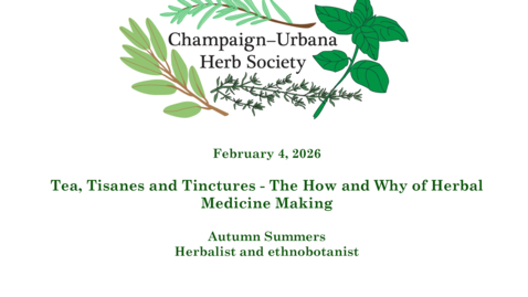 Thumbnail for C-U Herb Society February Meeting, February 4, 2026, Tea, Tisanes, and Tinctures