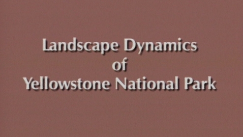 Thumbnail for Landscape Dynamics of Yellowstone National Park - Role of Fire 1690 to 1990