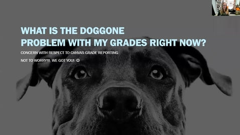 Thumbnail for SPRING 2023 -- FSHN 120 -- WE ARE A POINTS BASED CLASS -- ONLY LOOK AT POINTS -- REVIEWING YOUR GRADES