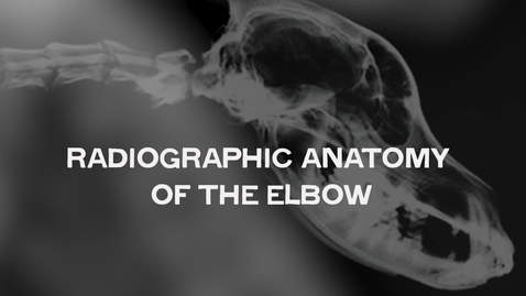 Thumbnail for Radiographic Anatomy of the Elbow