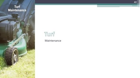 Thumbnail for Lawns 7