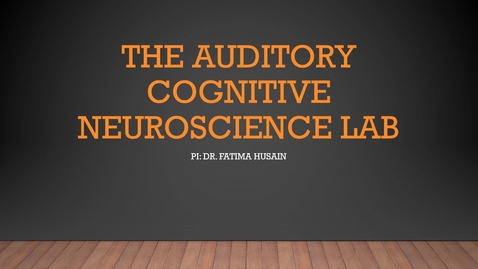 Thumbnail for The auditory cognitive neuroscience lab