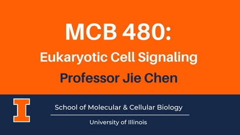 Thumbnail for MCB 480: Eukaryotic Cell Signaling (advanced course video)