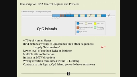Thumbnail for MCB 252: Cells, Tissues, and Development