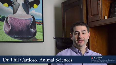 Thumbnail for entry Phil Cardoso - Department of Animal Sciences