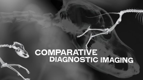 Thumbnail for Radiographic Anatomy of The Carpus