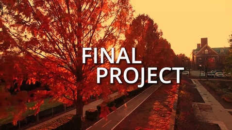 Thumbnail for iMBA Capstone: Final Project