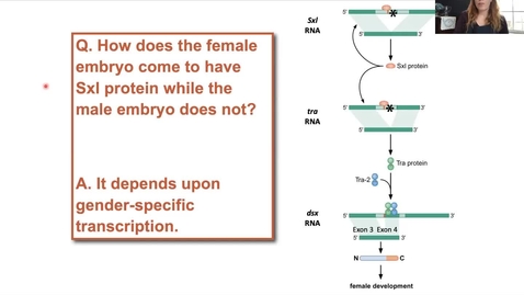 Thumbnail for Module38C