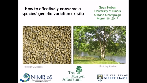 Thumbnail for NRES 500 Spring 2017 - Hoban - How to effectively conserve a species' genetic variation ex situ