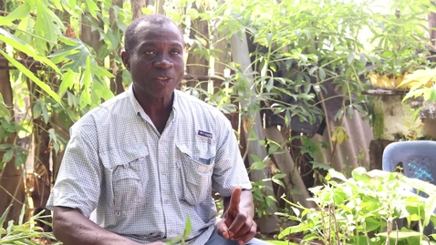 Thumbnail for African roots of herbal medicine in Palenque