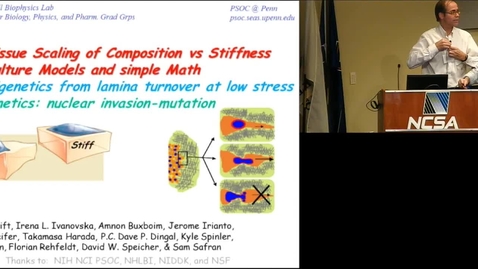 Thumbnail for Cells feel their microenvironment and and remodel their nucleus