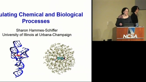 Thumbnail for Simulating Chemical and Biological Processes -- Sharon Hammes-Schiffer