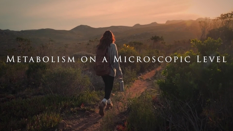 Thumbnail for 9.Metabolism on a Microscopic Level