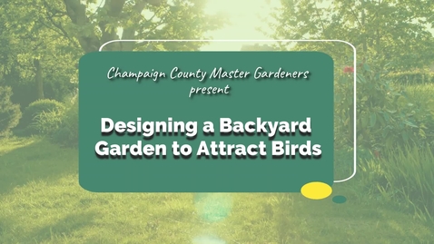 Thumbnail for Designing a Backyard Garden to Attract Birds
