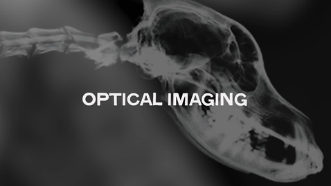 Thumbnail for Optical Imaging