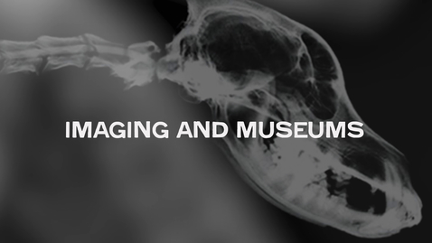 Thumbnail for Imaging and Museums