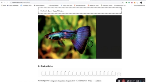 Thumbnail for Custom Color palettes