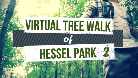 Thumbnail for Virtual Tree Walk of Hessel Park 2