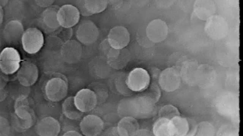 Thumbnail for Illinois Summer Youth Music, 1967~ Audiovisual Digital Surrogates from the University Videotapes, Series 39/1/15