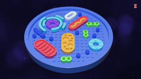 Thumbnail for Synthetic Biology- Innovating, Disrupting, and Leading in the Bioeconomy